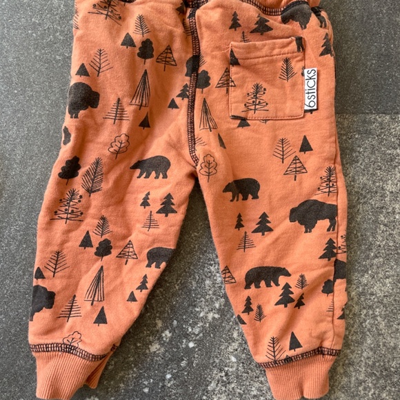 9-12 month bison and bear sweat suit - Picture 4 of 4
